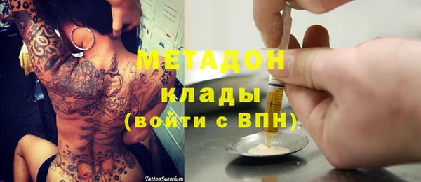 прущие грибы Бородино