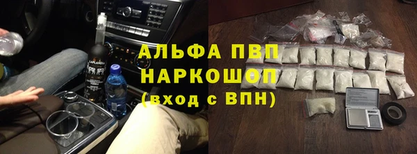 гидра Богородицк