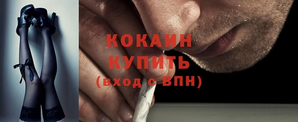 прущие грибы Бородино