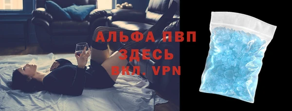 прущие грибы Бородино
