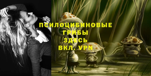 гидра Богородицк