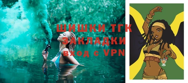 гидра Богородицк