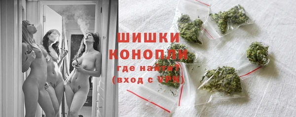 гидра Богородицк
