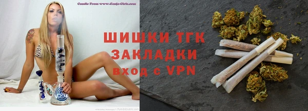 прущие грибы Бородино