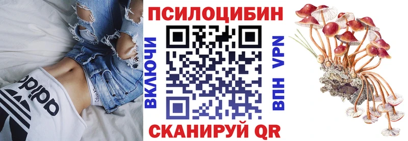 Купить  Могоча  Галлюциногенные грибы мицелий 